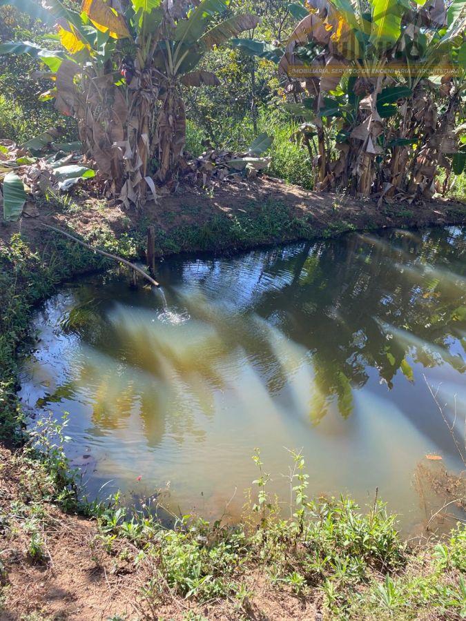 WhatsApp Image 2025-06-16 at 10.57.37.jpeg